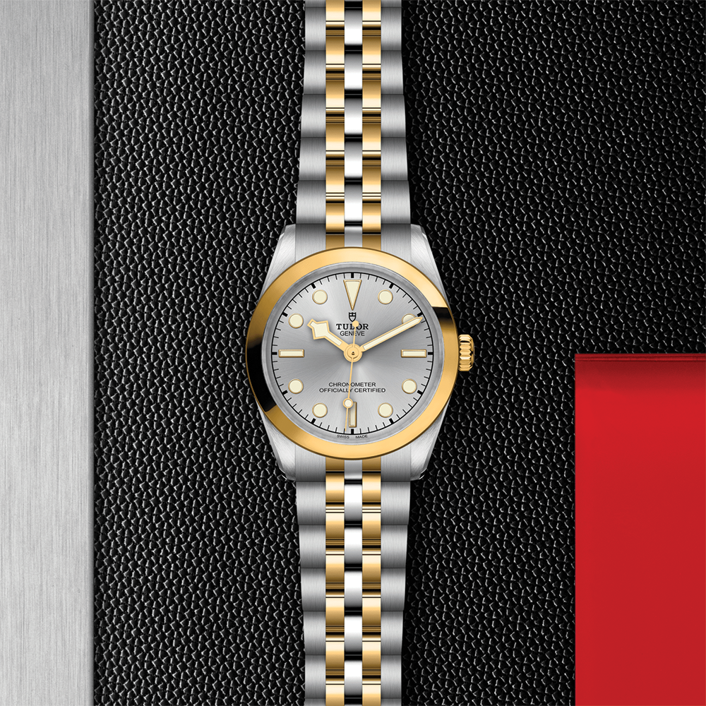 Black Bay One S&G 31mm - Silver on Bracelet
