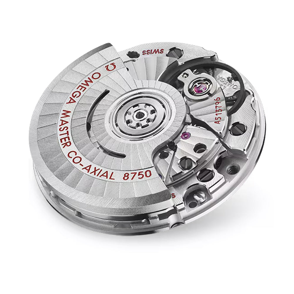Seamaster Aqua Terra 150M 30mm - White on Bracelet