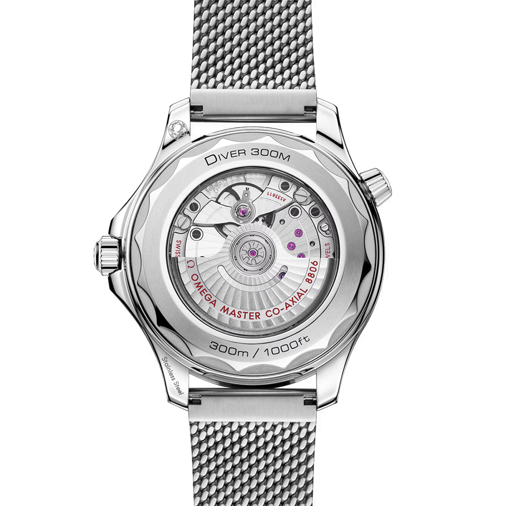 Seamaster Diver 300M Titanium Bezel 42mm - Grey on Bracelet