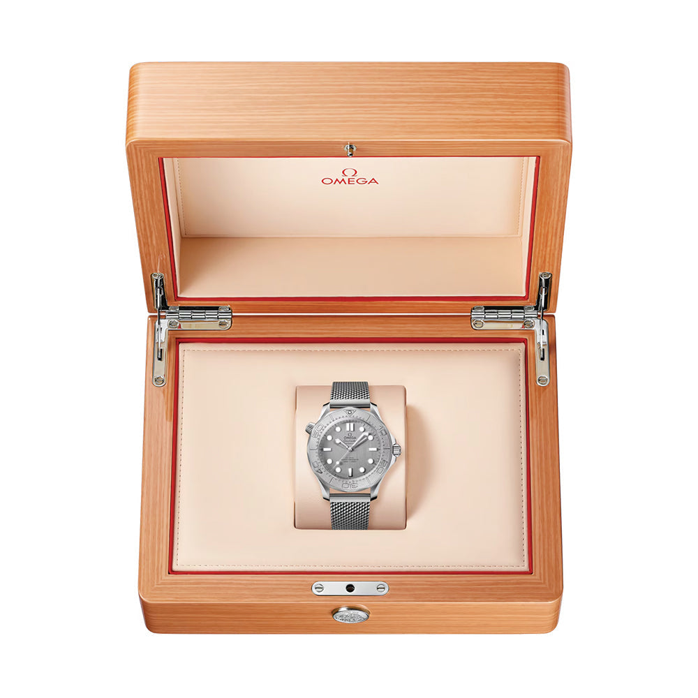 Seamaster Diver 300M Titanium Bezel 42mm - Grey on Bracelet